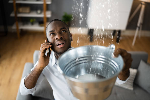 Best Water damage contractors near me  in Turners Falls, MA