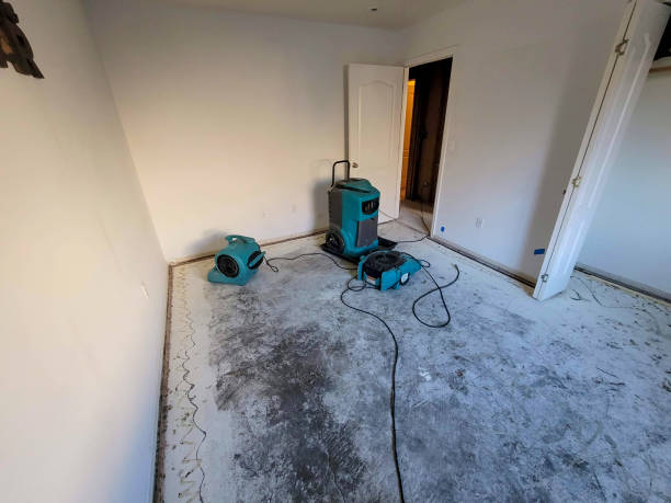 Sewage cleanup and water damage restoration in MA