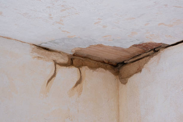 Best Carpet water damage restoration  in Turners Falls, MA