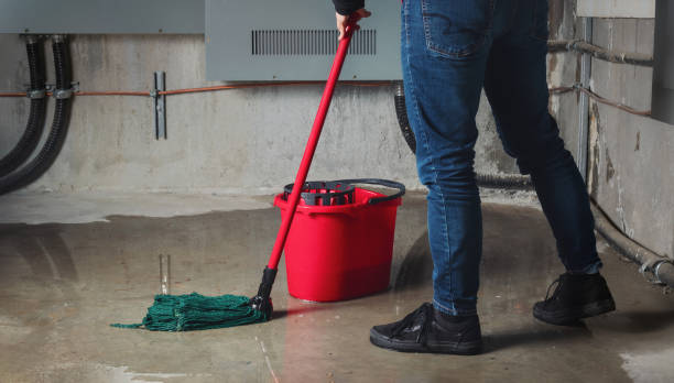 Best Sewage cleanup and water damage restoration  in Turners Falls, MA