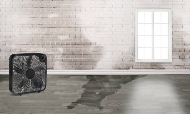 Best 24-hour water damage restoration  in Turners Falls, MA