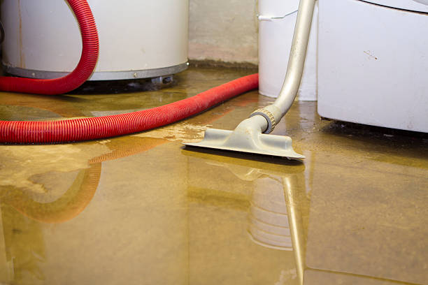 Best Water damage restoration near me  in Turners Falls, MA