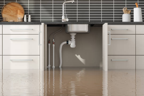 Best Fire Damage Restoration  in Turners Falls, MA