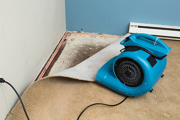 Best Residential water damage restoration  in Turners Falls, MA